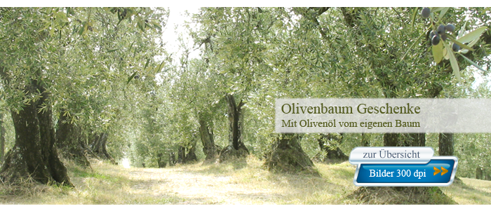 Olivenland